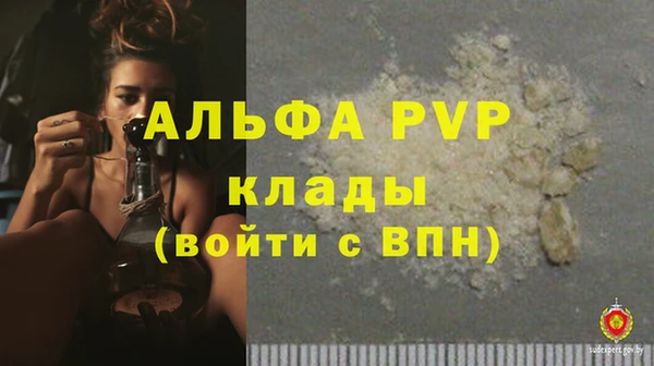 гидра Инсар