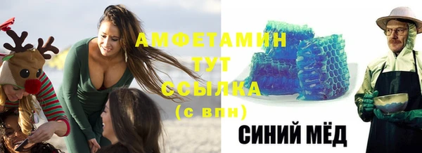 гидра Инсар