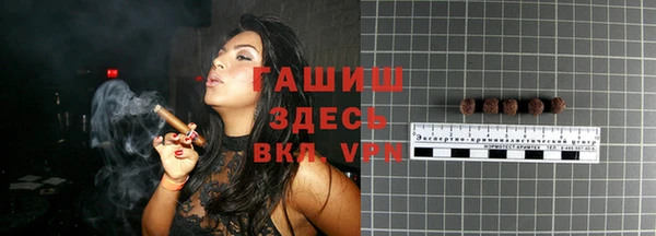 гидра Инсар