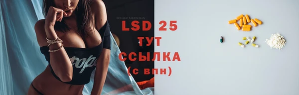 гидра Инсар