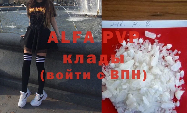 гидра Инсар