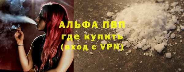 гидра Инсар