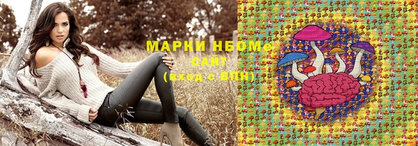 гидра Инсар