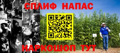 сатива Конаково