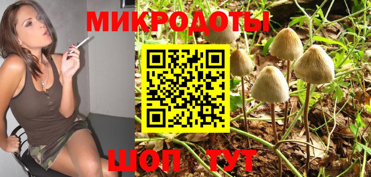 Галлюциногенные грибы мицелий  Псилоцибиновые грибы GOLDEN TEACHER  Славгород 