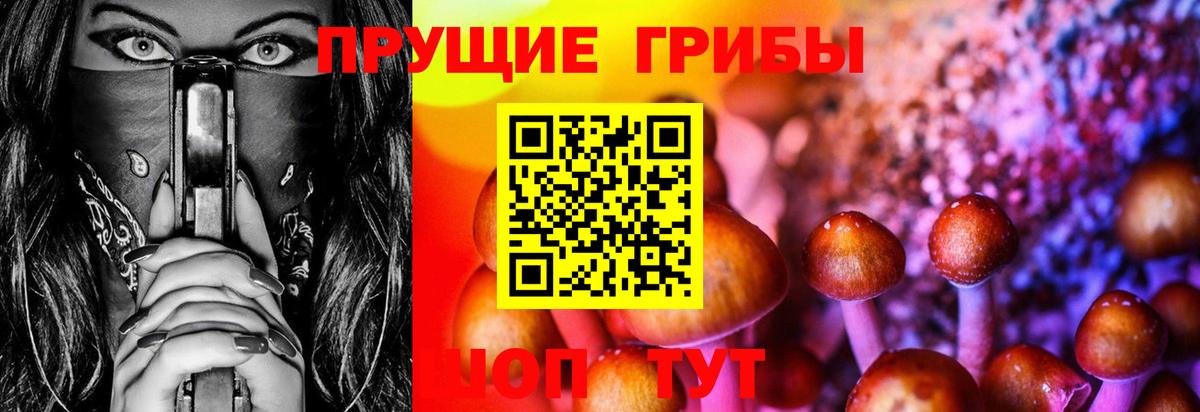 Псилоцибиновые грибы GOLDEN TEACHER Славгород