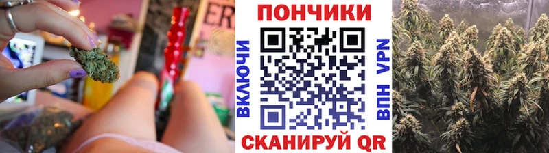 Бошки Шишки план  где купить наркоту  Славгород 